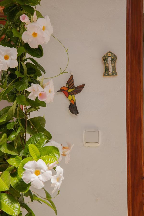Casa Carmen Villa Haría Exterior photo